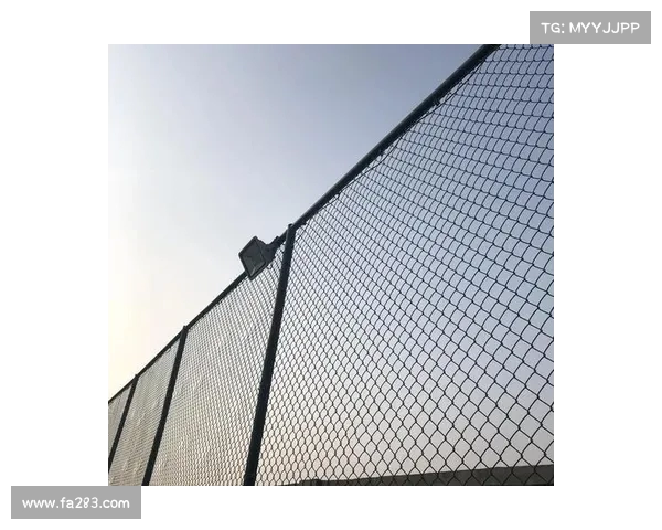 网球比赛观众席位设计与布局对观赛体验的影响及优化方案分析 网球比赛观众席位设计与布局对观赛体验的影响及优化方案分析